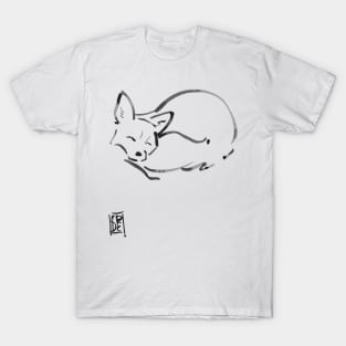 lis fox 14 T-Shirt